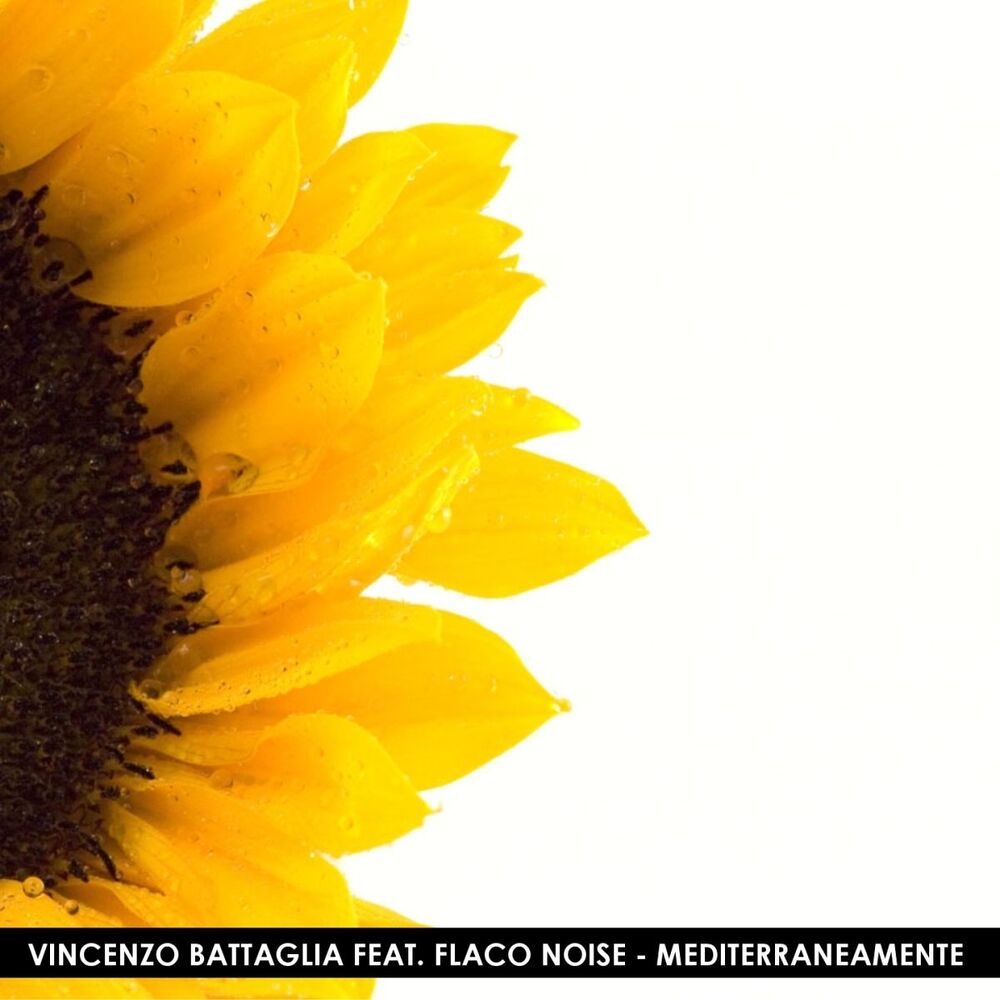 Picture of Mediterraneamente
