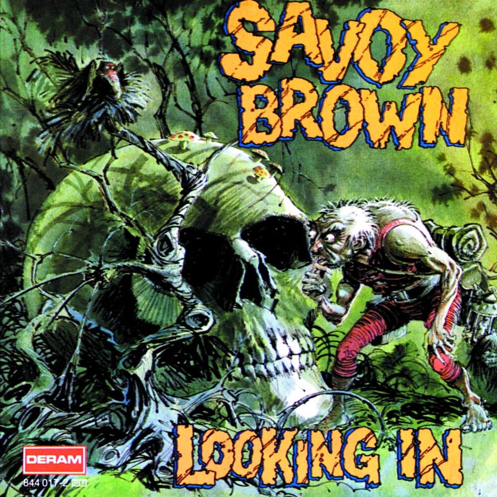 Picture of Looking In