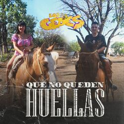 Cover of Que no queden huellas