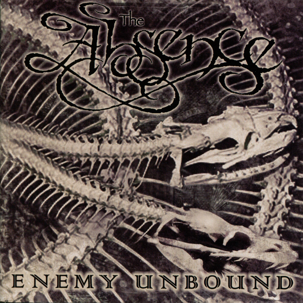 Picture of Enemy Unbound