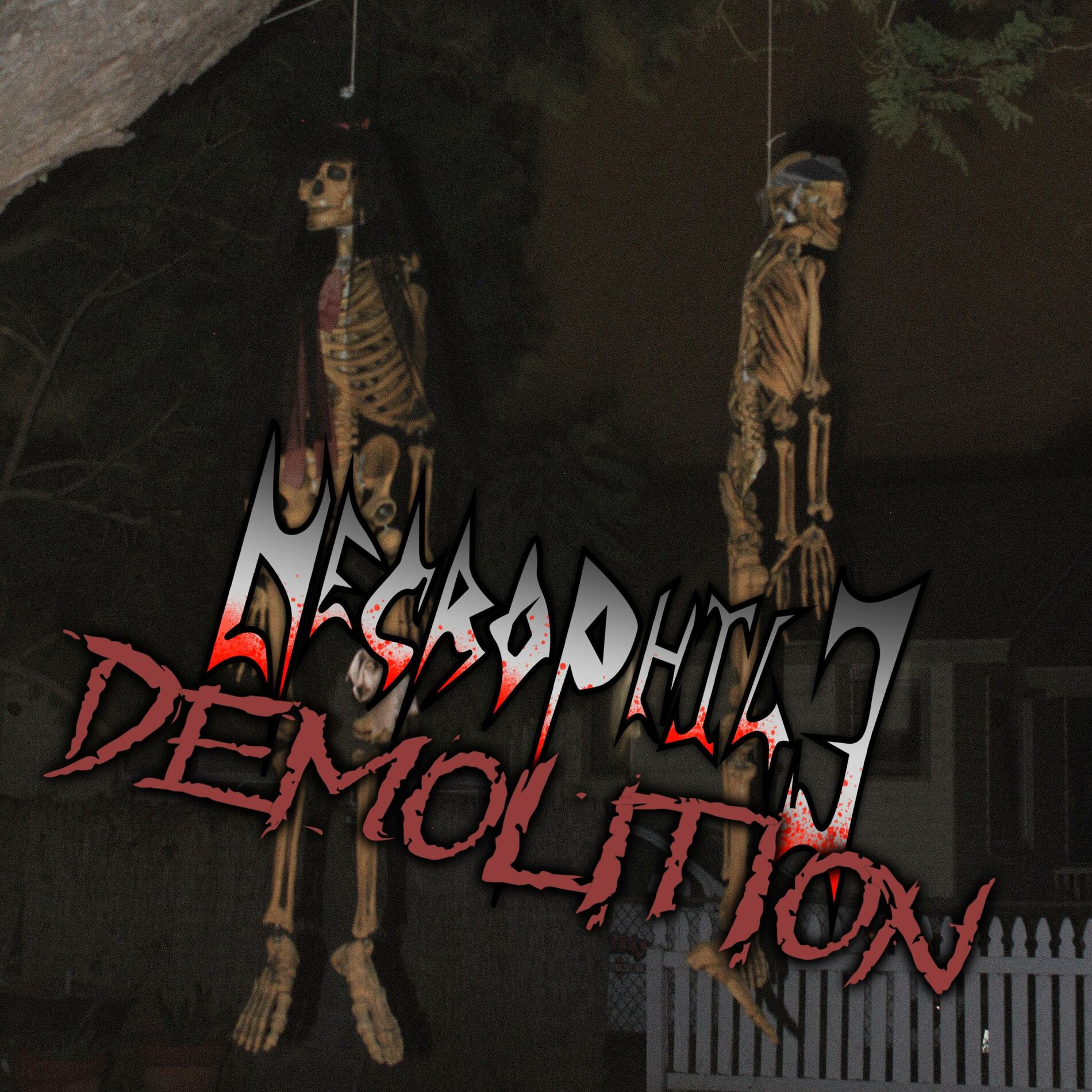 Album cover of Demolition