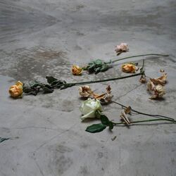 Cover of Be There