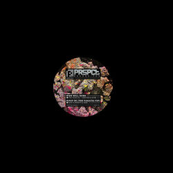 Cover of We Will Burn / Pop Im (The Panacea VIP)