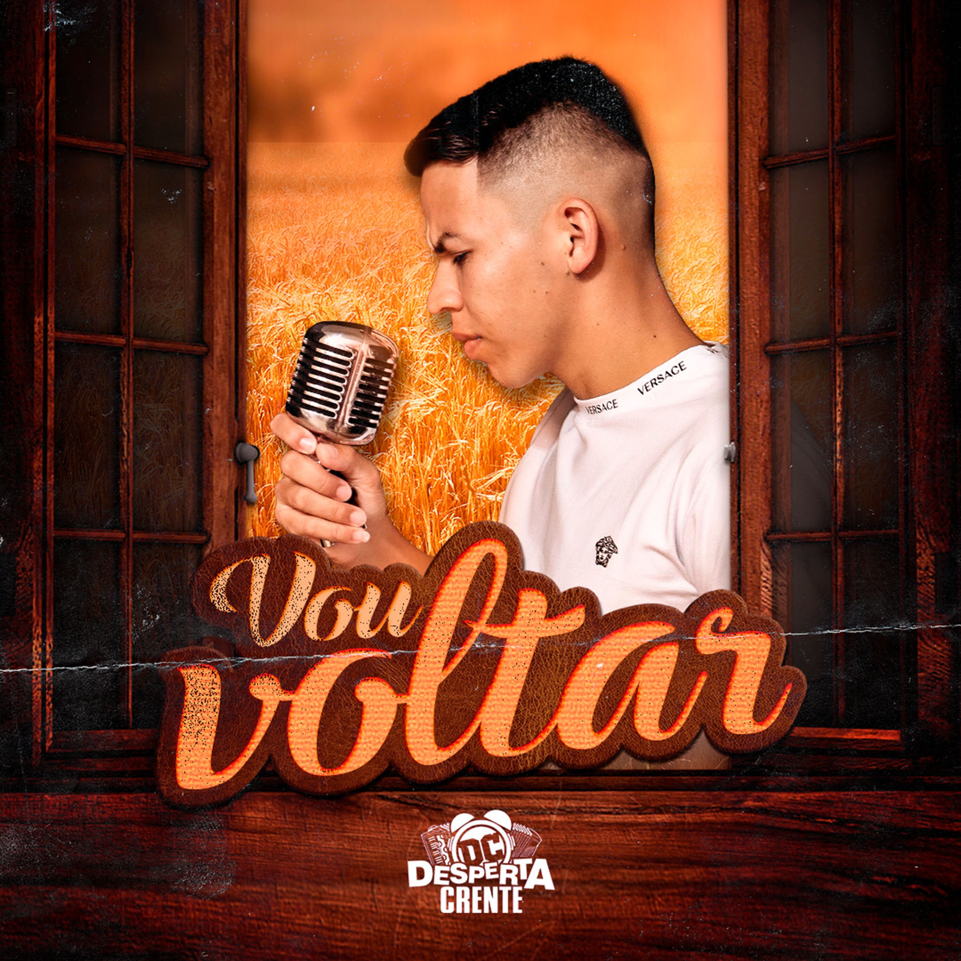 Album cover of Vou Voltar