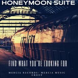 Cover of Find What You're Looking For