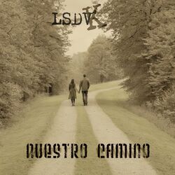 Cover of Nuestro Camino