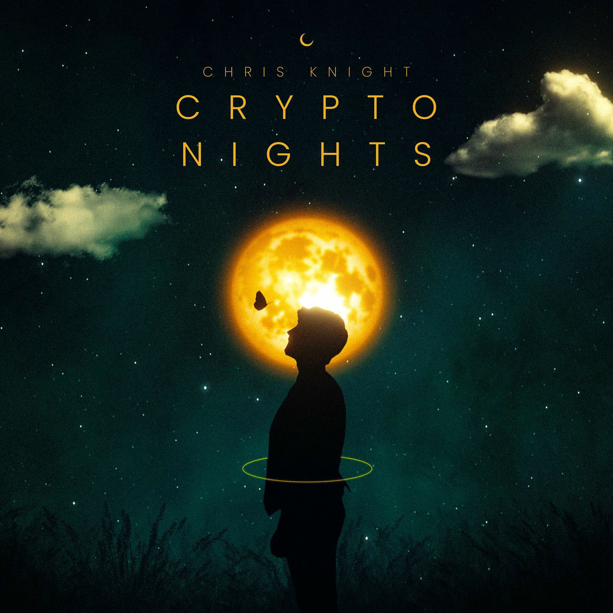 Album cover of Crypto Nights