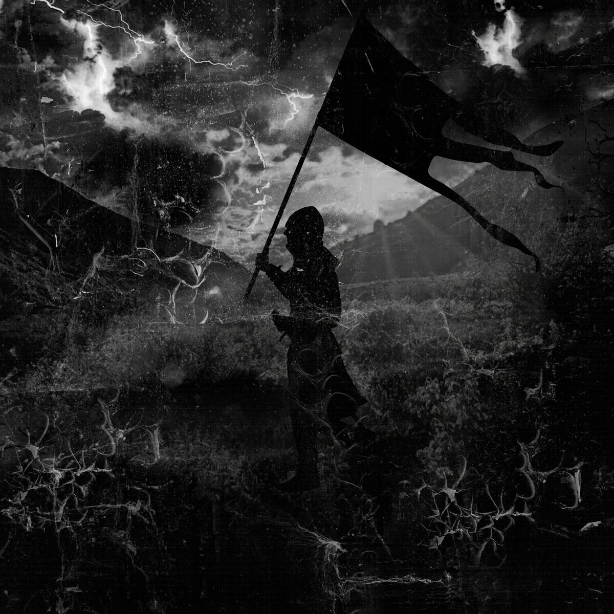 Album cover of Black Flag