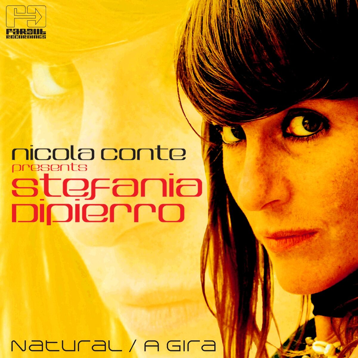 Album cover of A Gira
