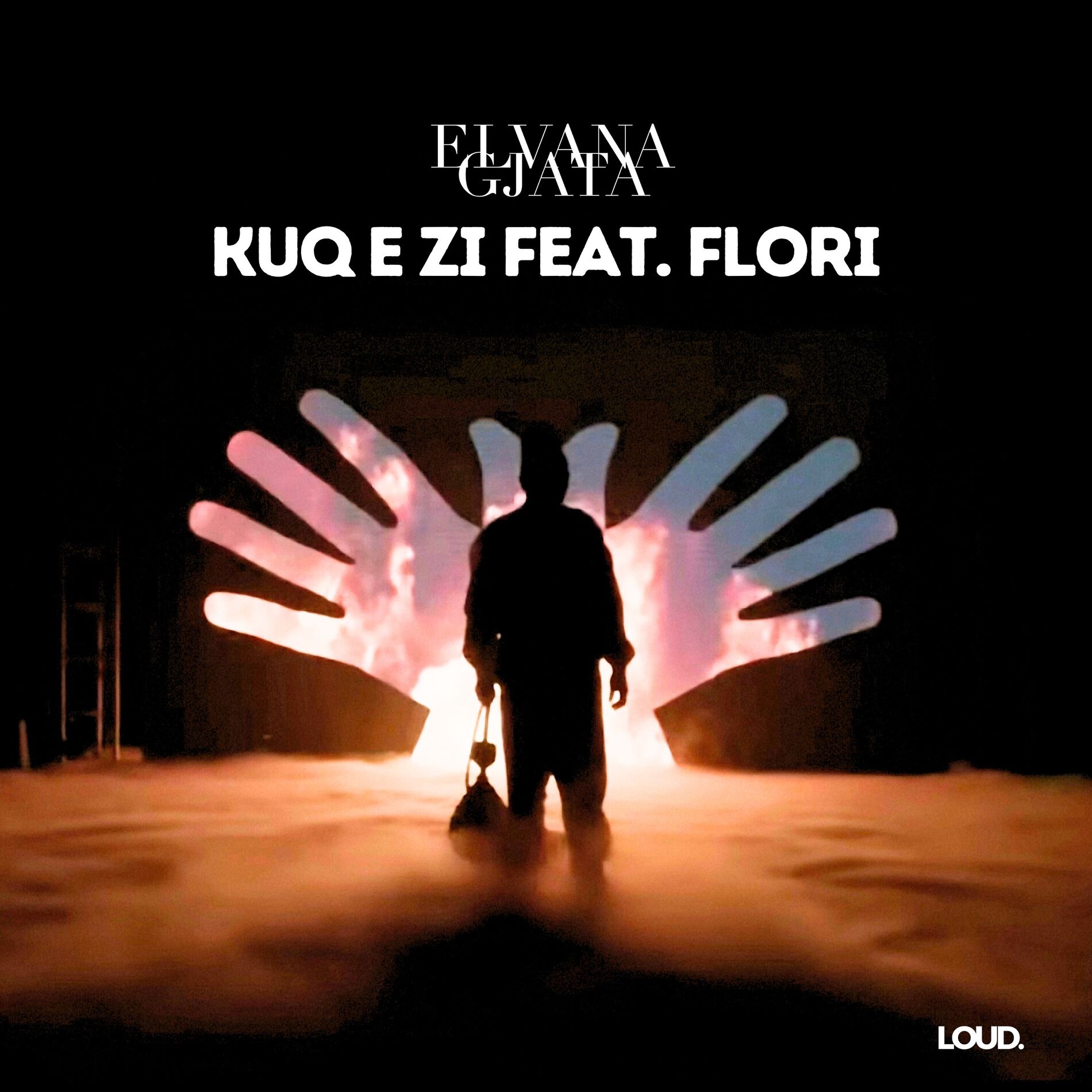 Album cover of Kuq e Zi