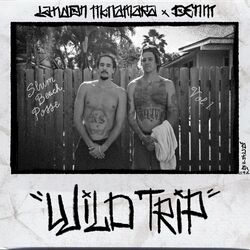 Cover of Wild Trip