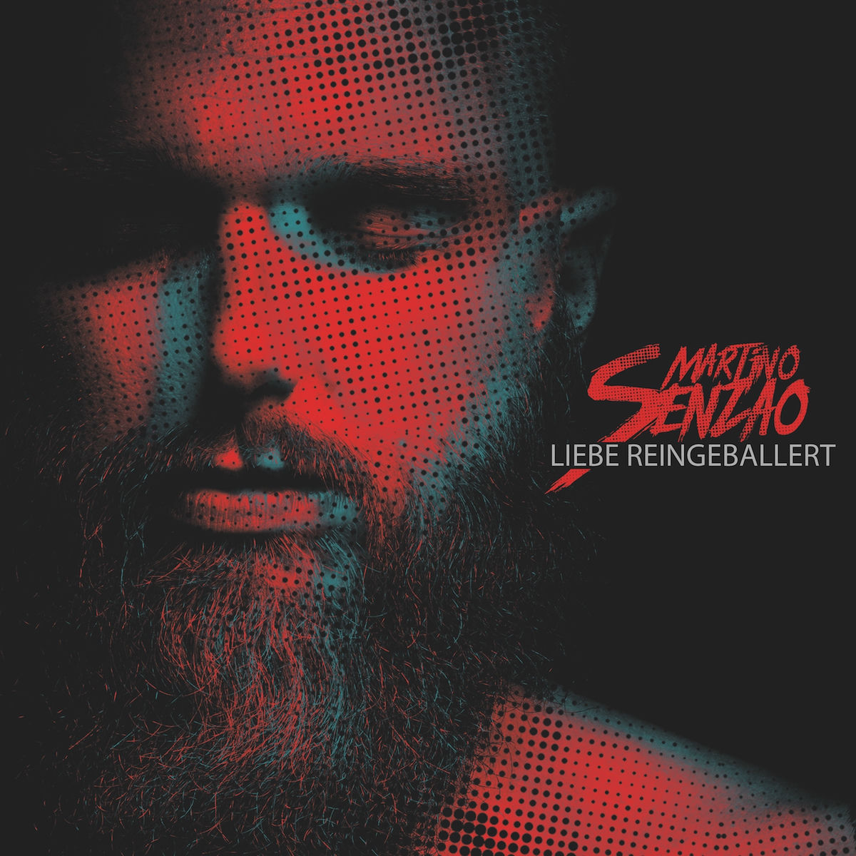 Album cover of Liebe reingeballert