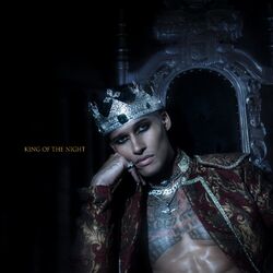 Cover of King of the Night