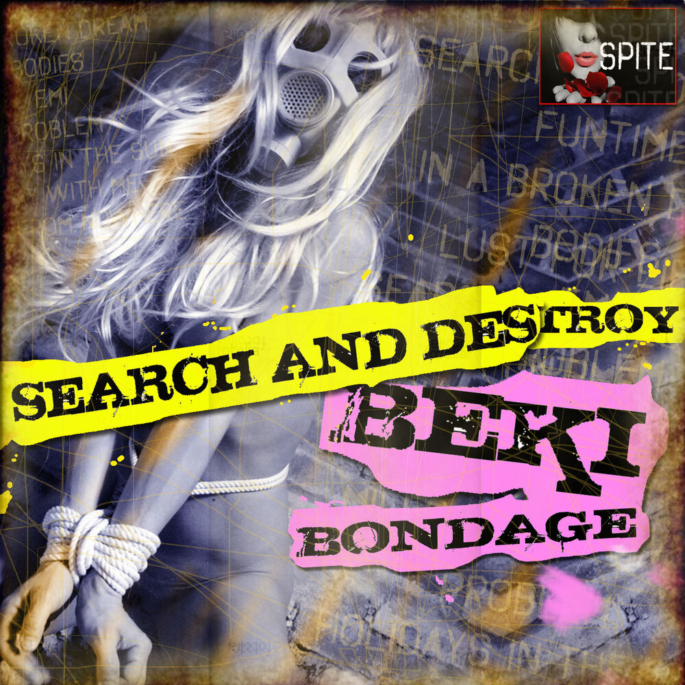 Picture of Search and Destroy