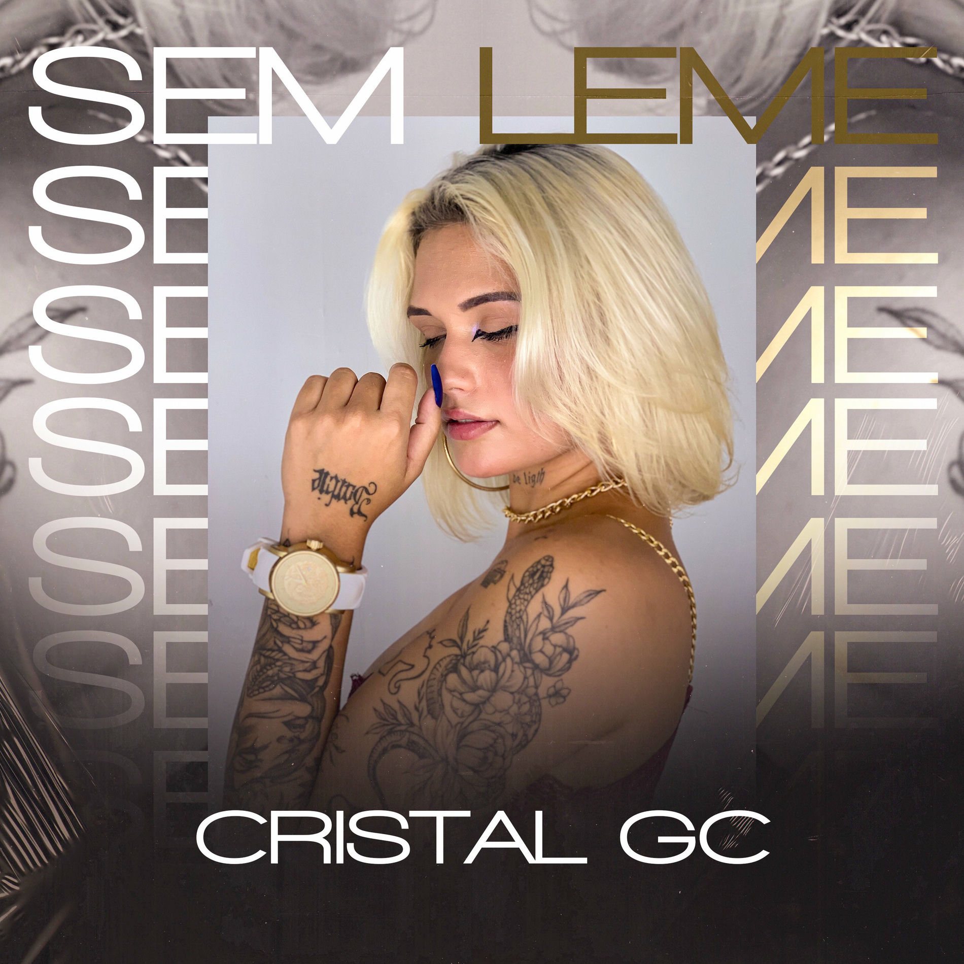 Album cover of Sem Leme