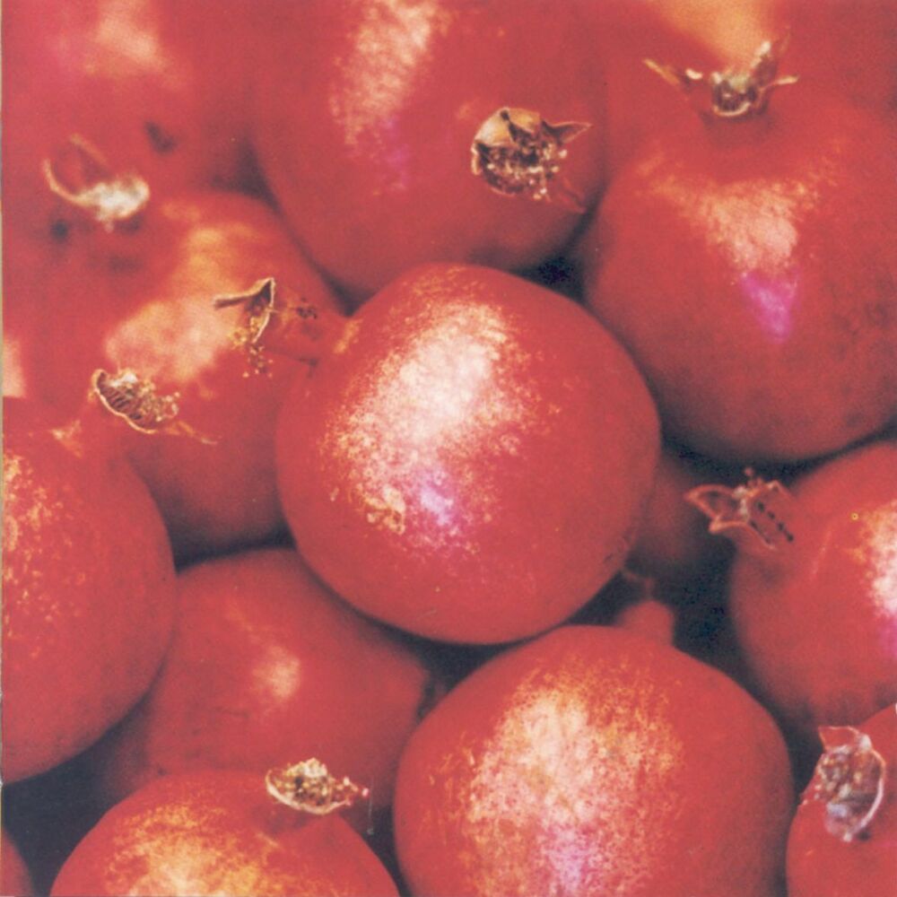 Picture of Tähti