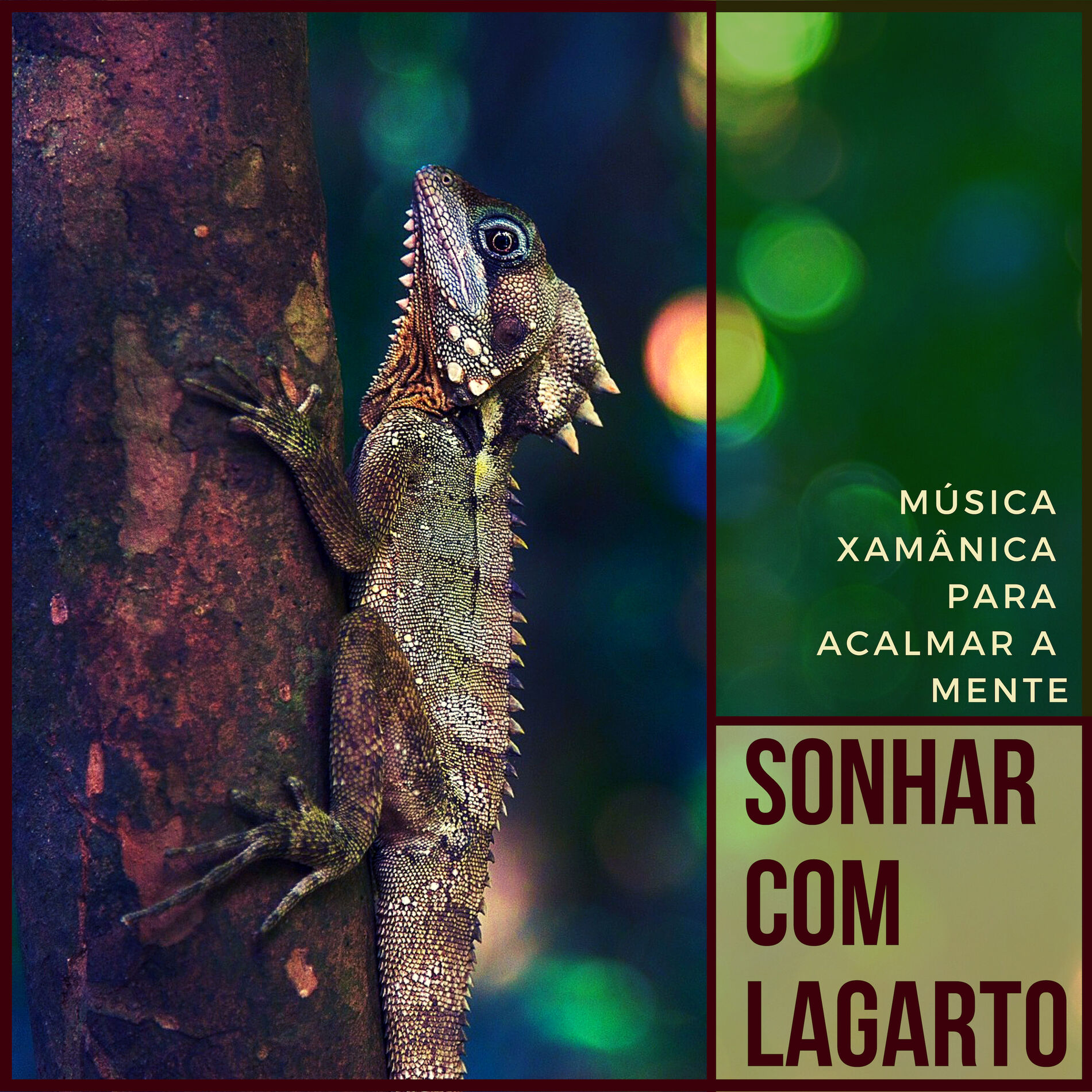 Album cover of Sonhar com Lagarto