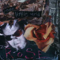 Cover of Crazy Little World
