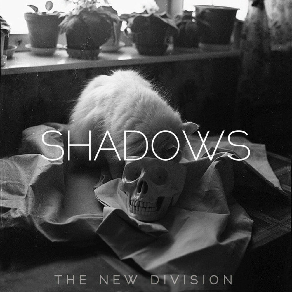 Picture of Shadows