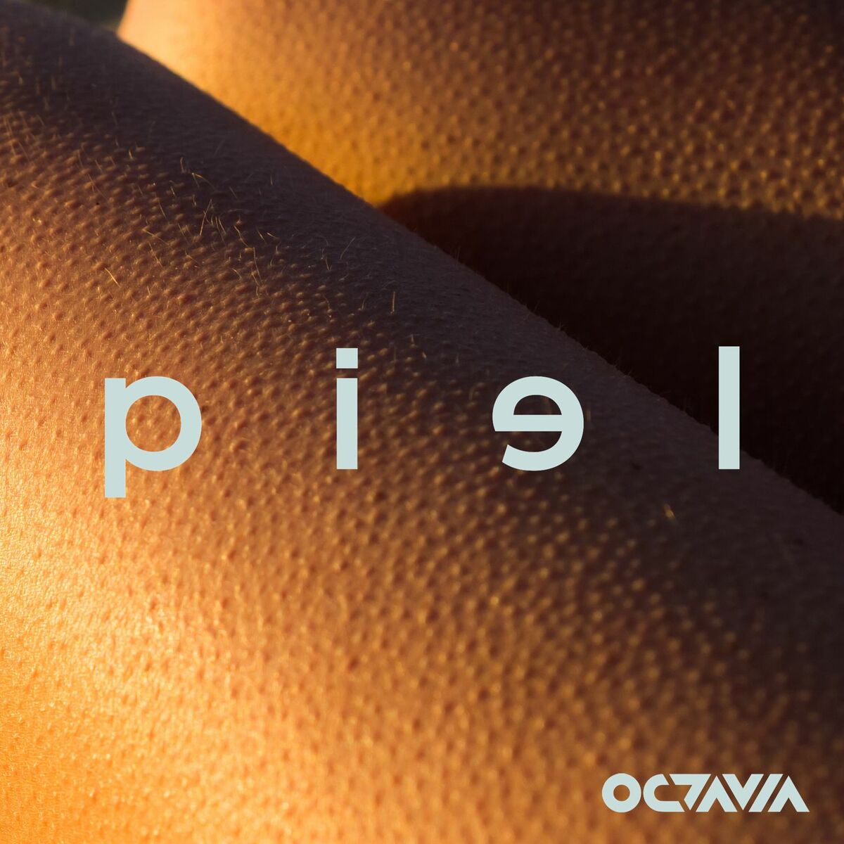 Album cover of PIEL