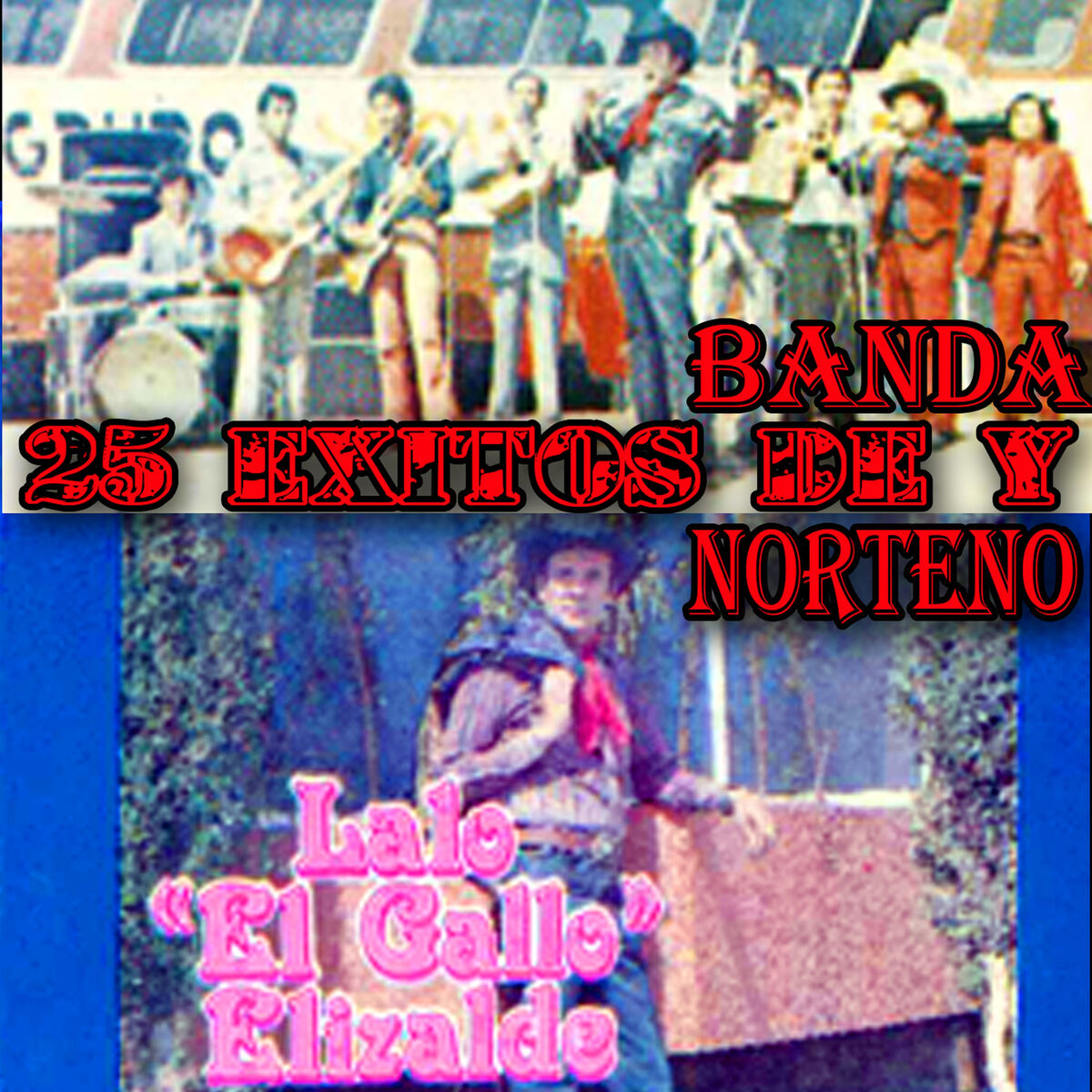 Album cover of 25 Exitos de Banda y Norteno