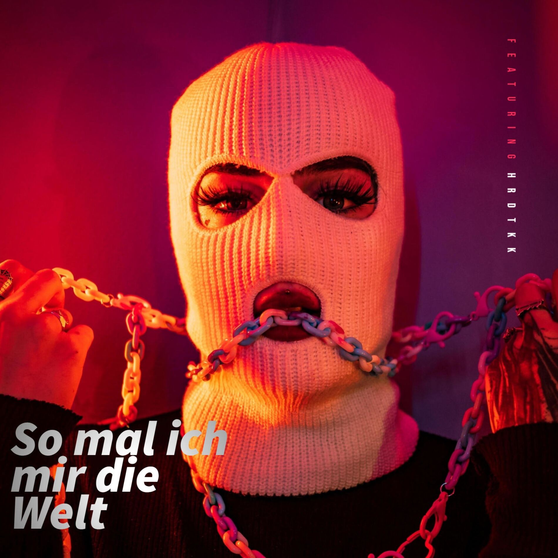 Album cover of So mal ich mir die Welt (feat. HRDTKK)