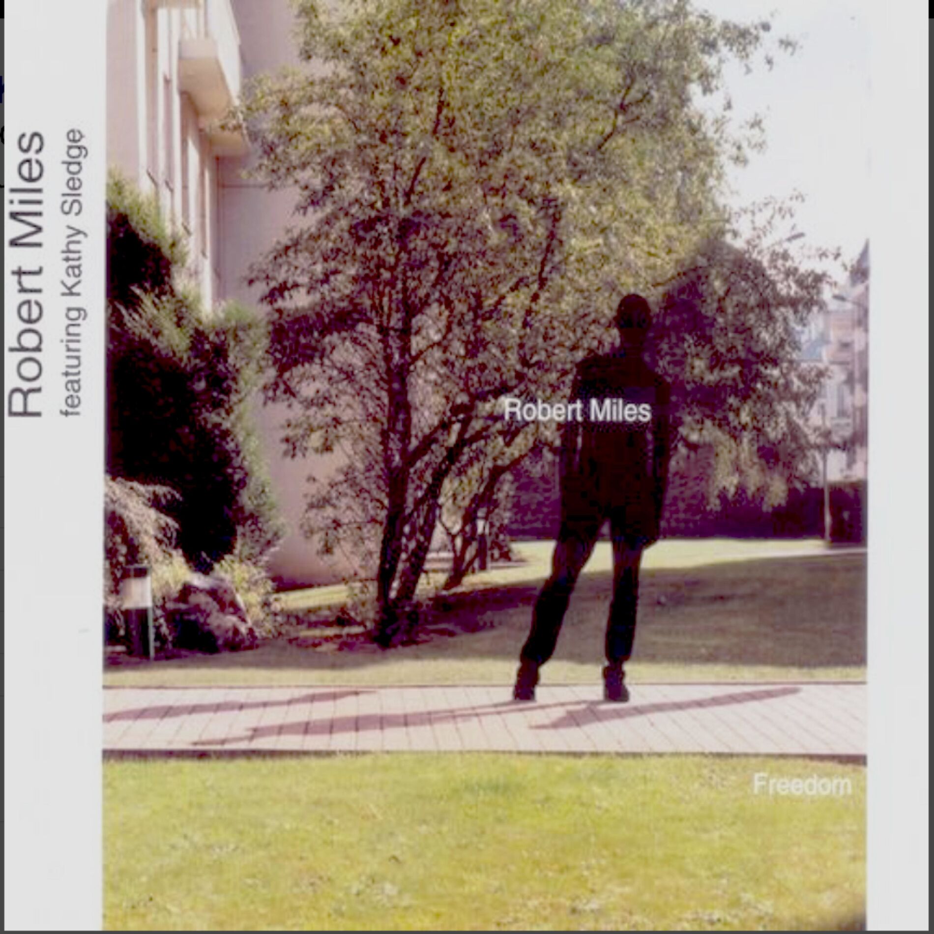 Album cover of Freedom (Single)