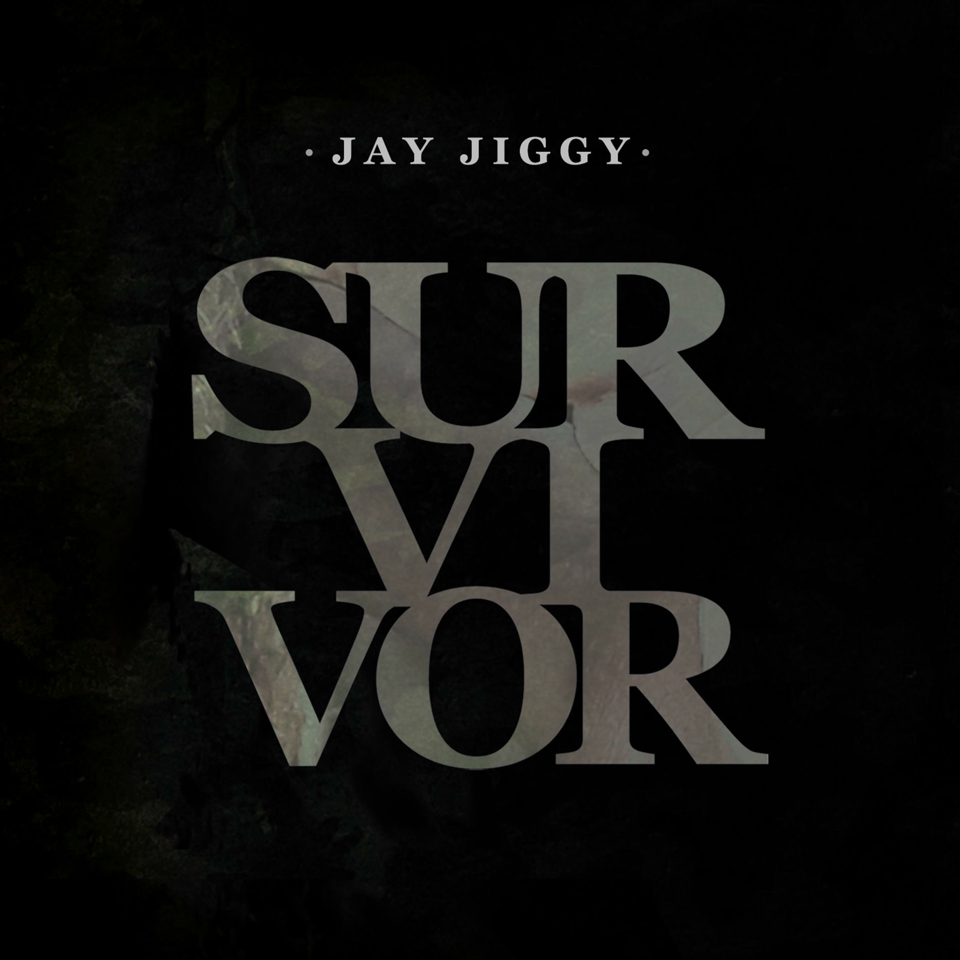 Album cover of Survivor