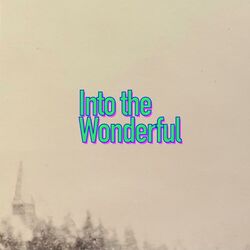Cover of Into the Wonderful