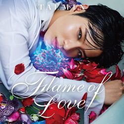 Cover of Flame Of Love