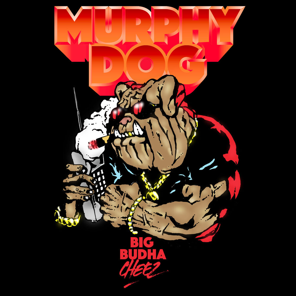 Picture of Murphy Dog