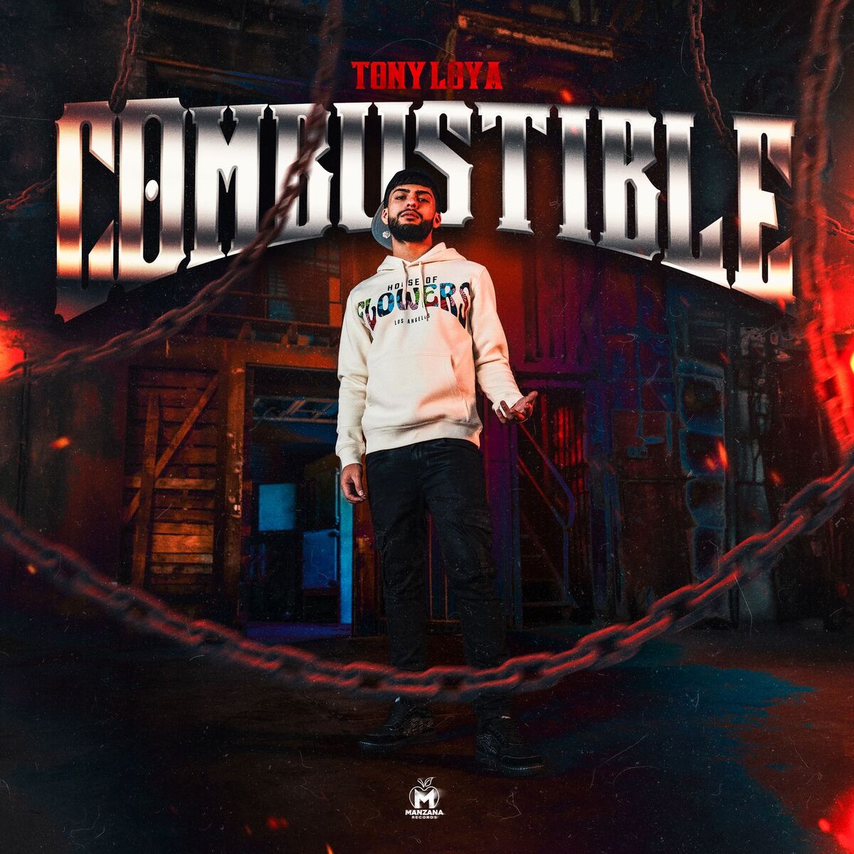Album cover of Combustible