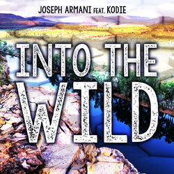 Cover of Into the Wild