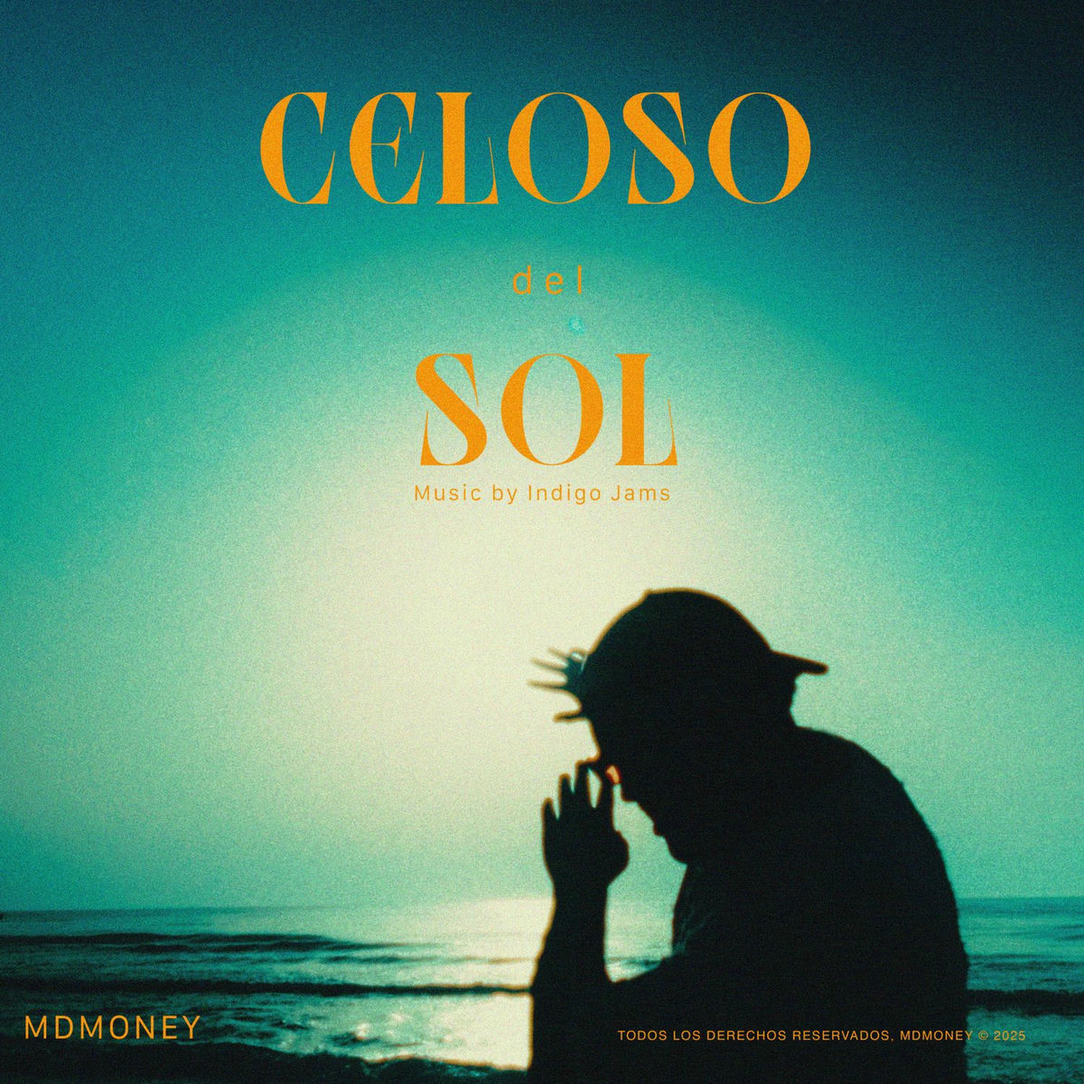 Album cover of Celoso del Sol