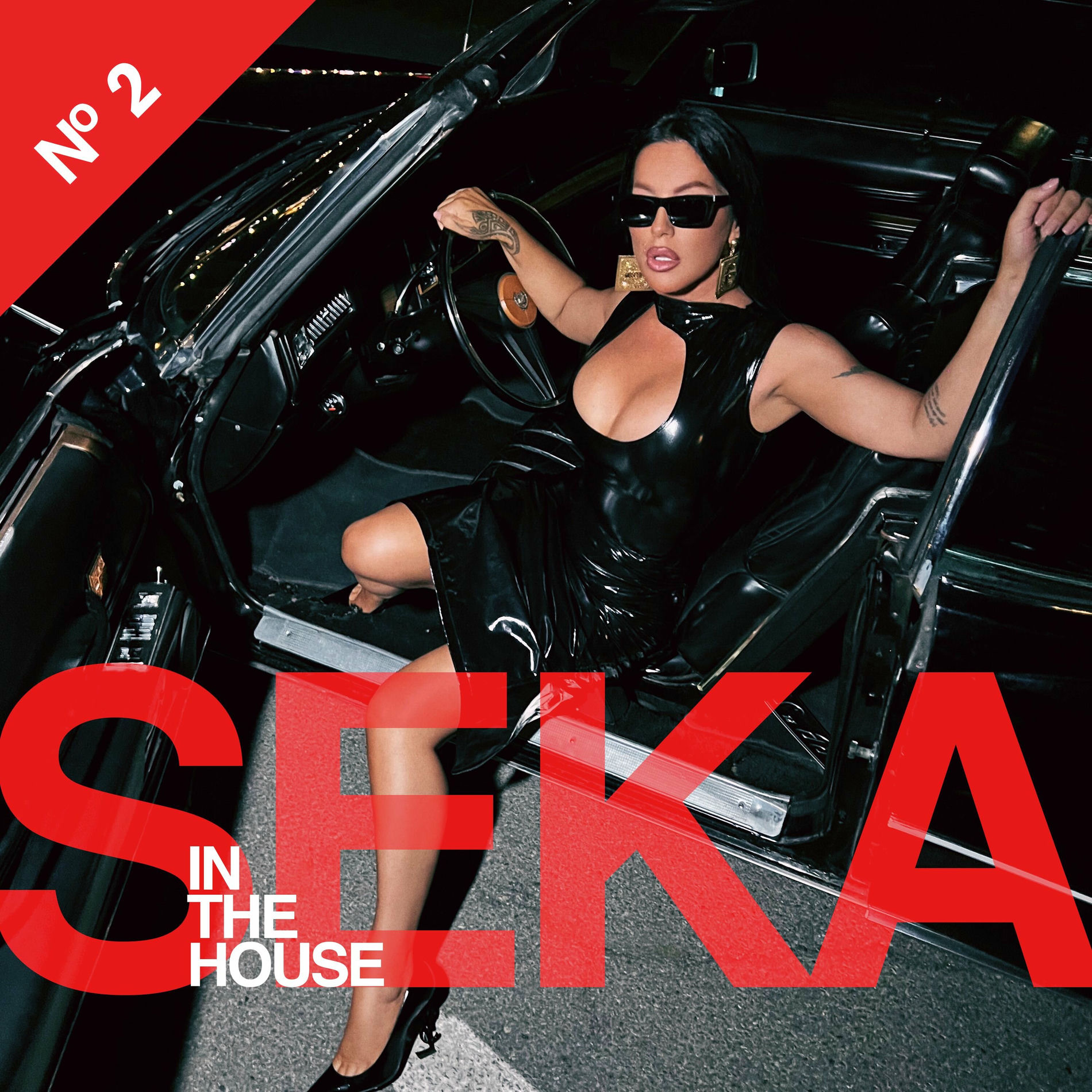 Album cover of Seka in the house 2