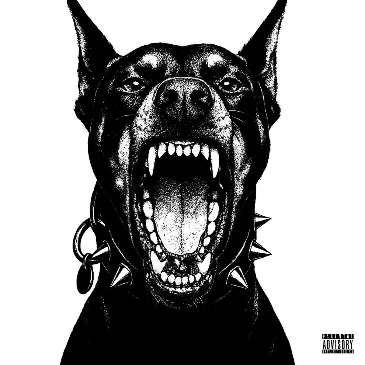 Album cover of Steinkamp