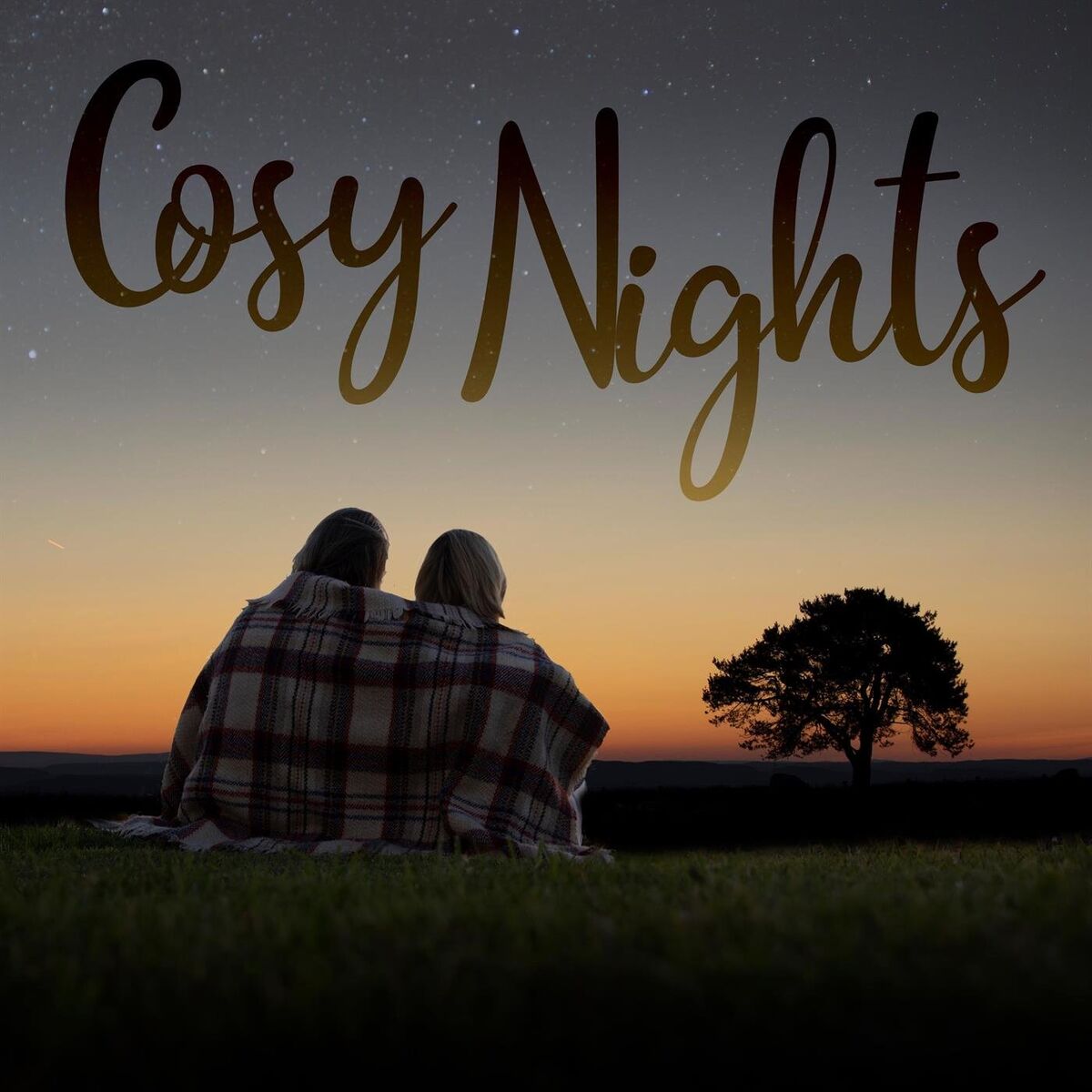 Album cover of Cosy Nights