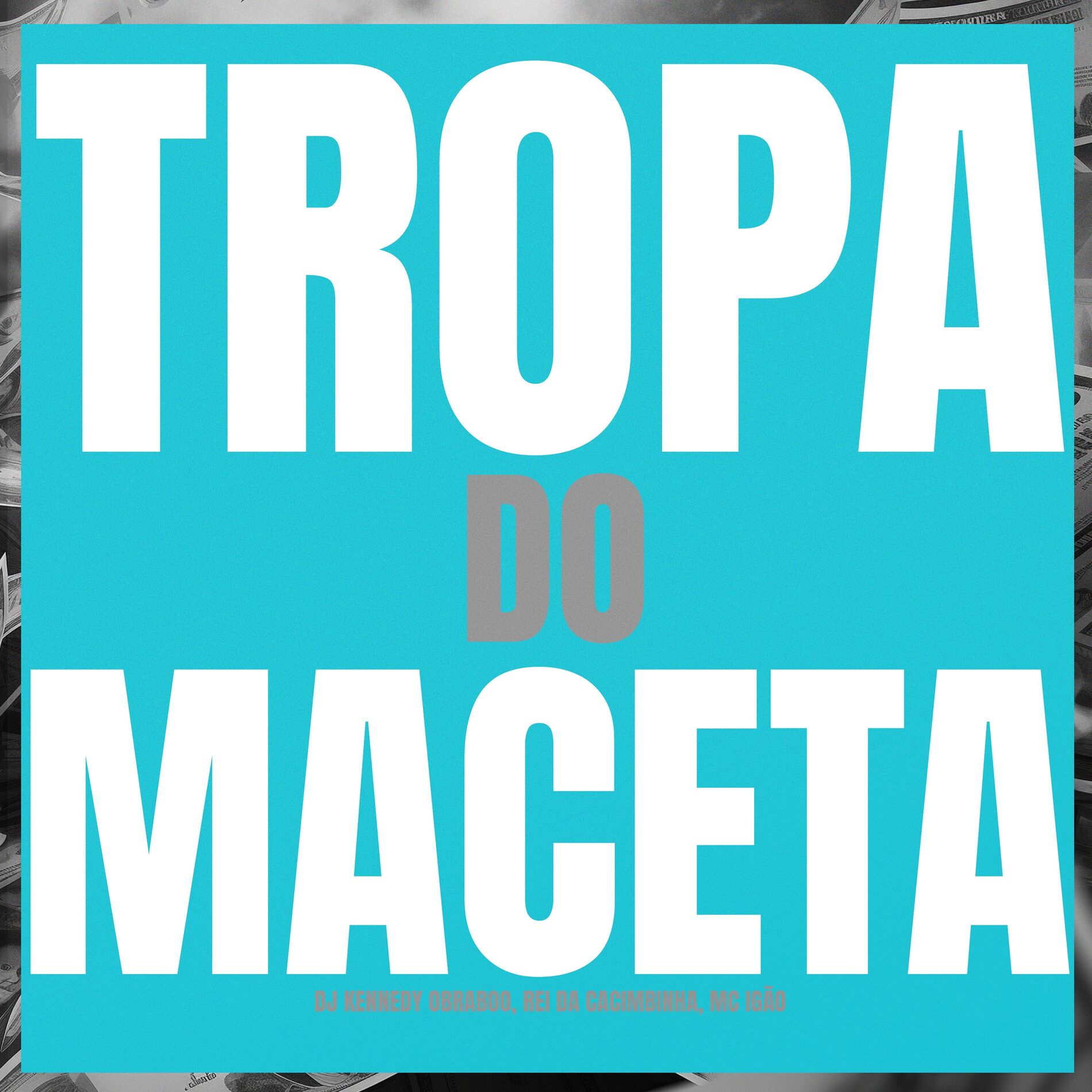 Album cover of Tropa do Maceta