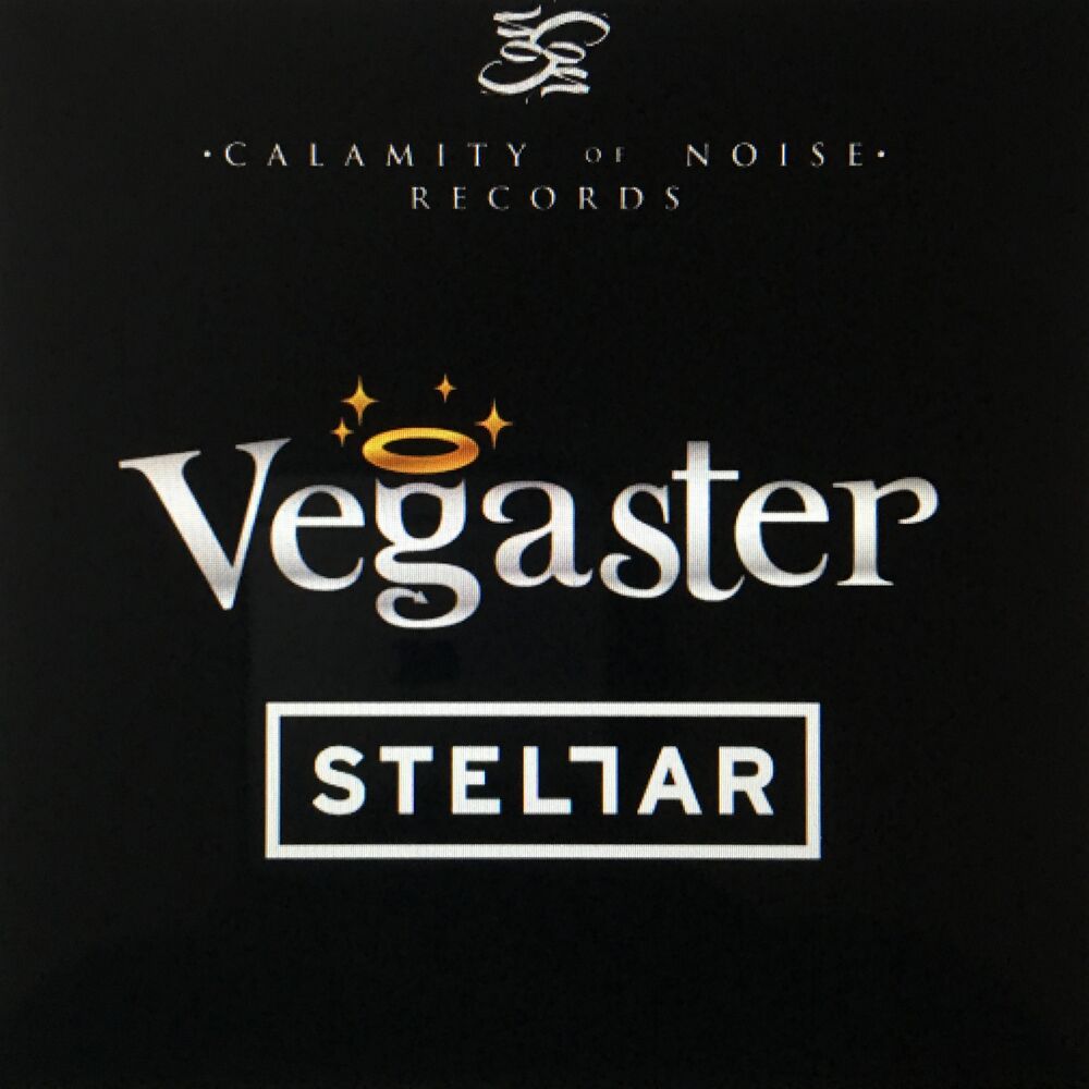 Picture of Vegaster - Single
