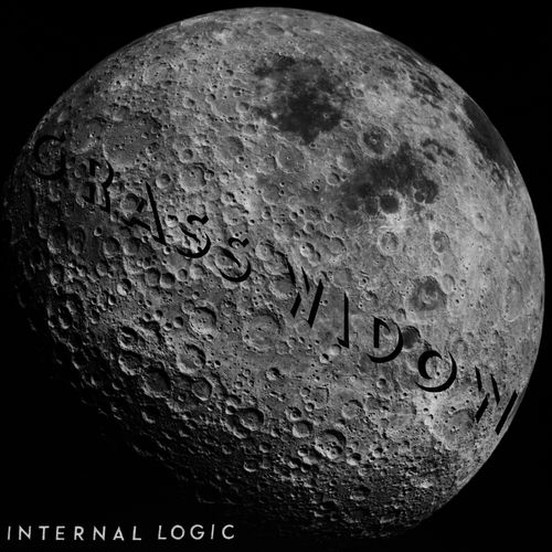 Internal Logic artwork
