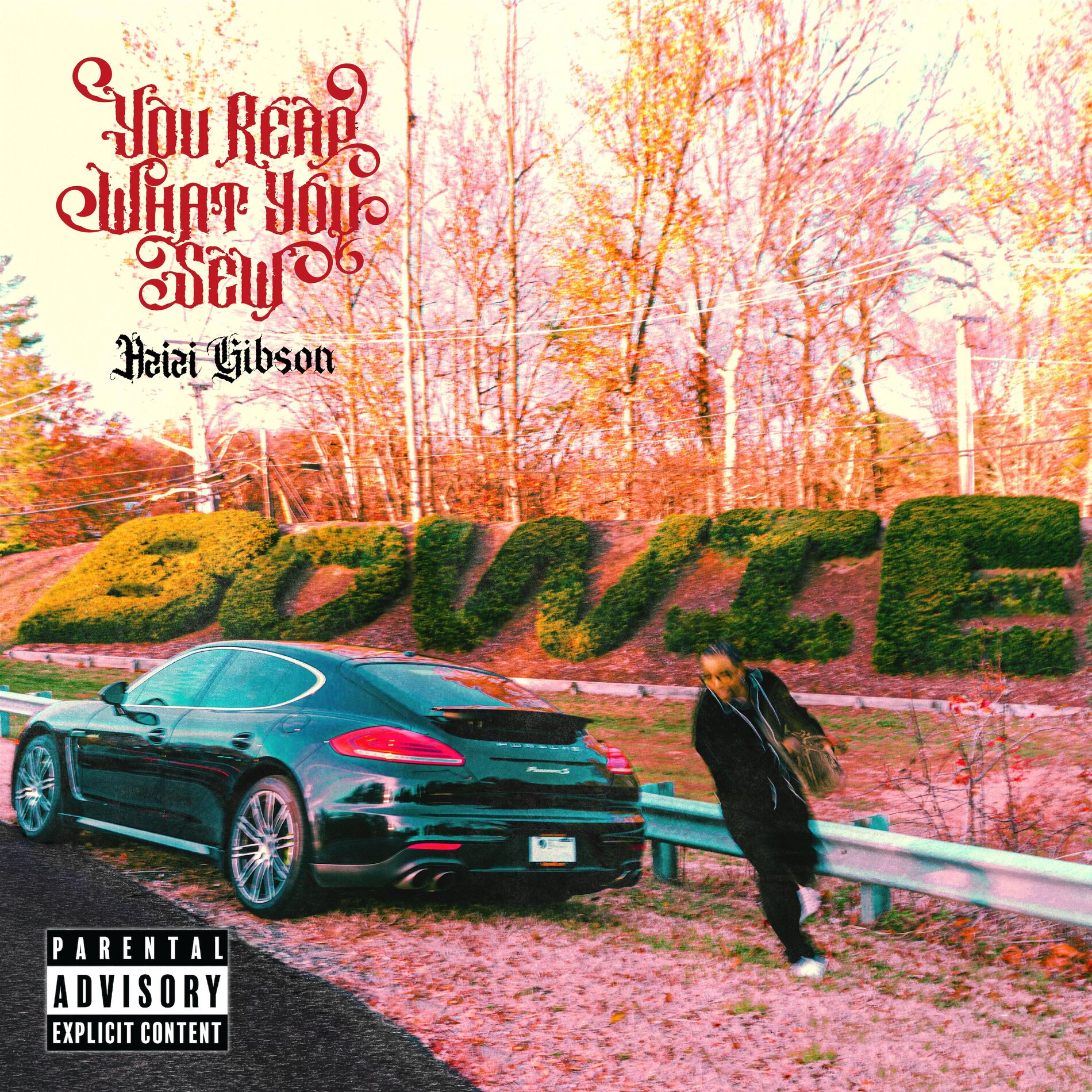 Album cover of You Reap What You Sew