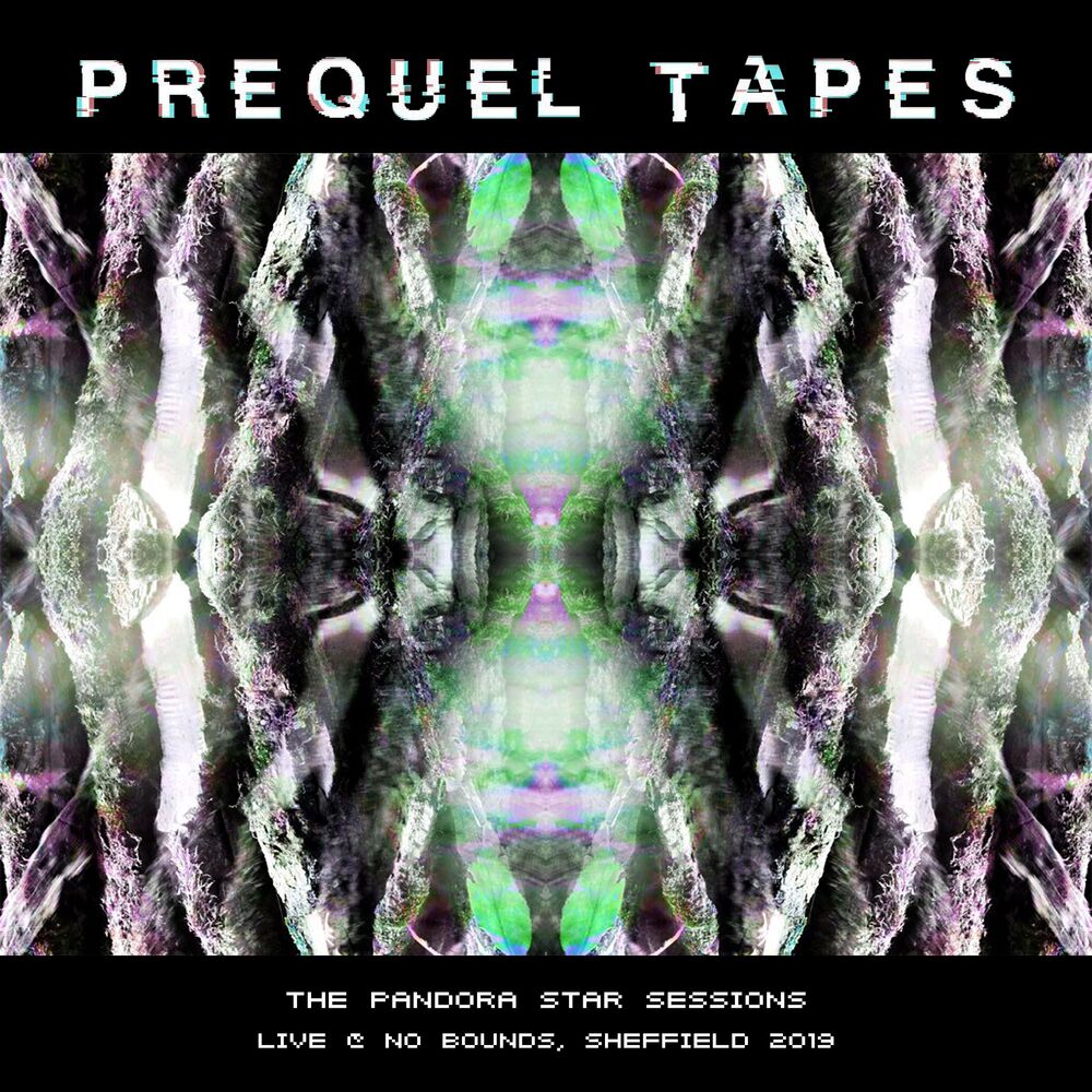 Picture of The Pandora Star Sessions live @ No Bounds, Sheffield 2019