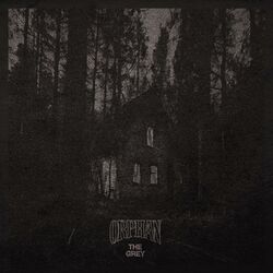 Cover of The Grey