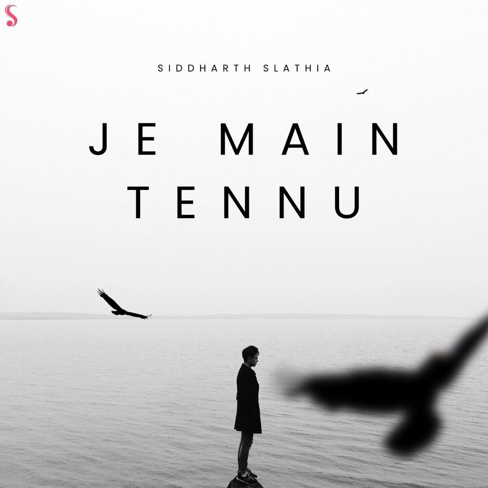 Picture of Je Main Tennu
