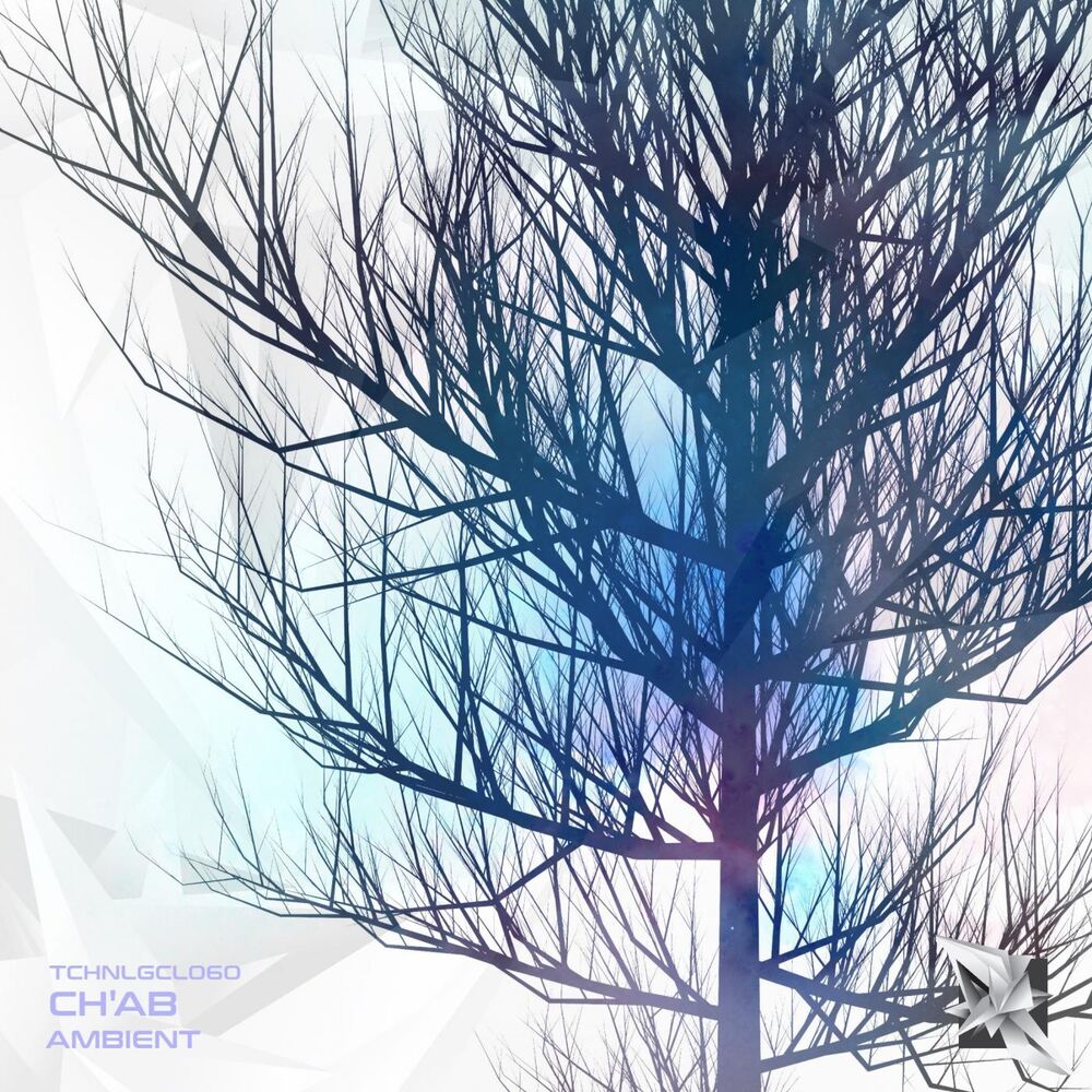 Picture of Ambient