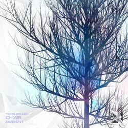 Cover of Ambient