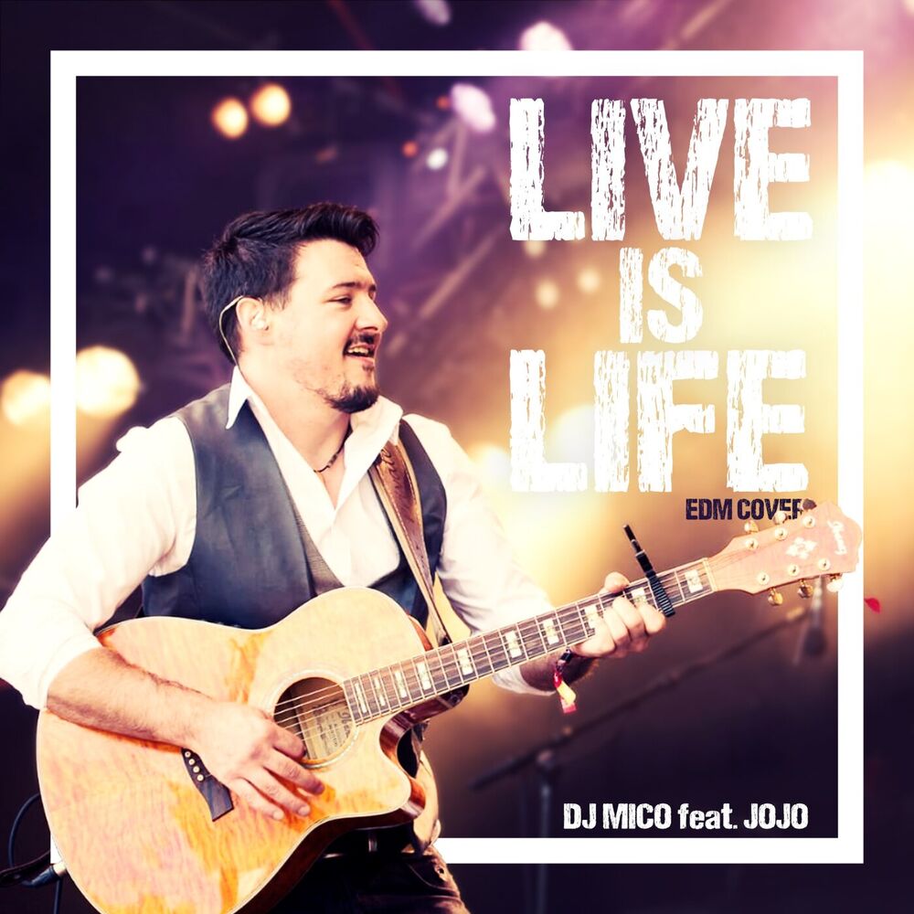 Picture of Live Is Life