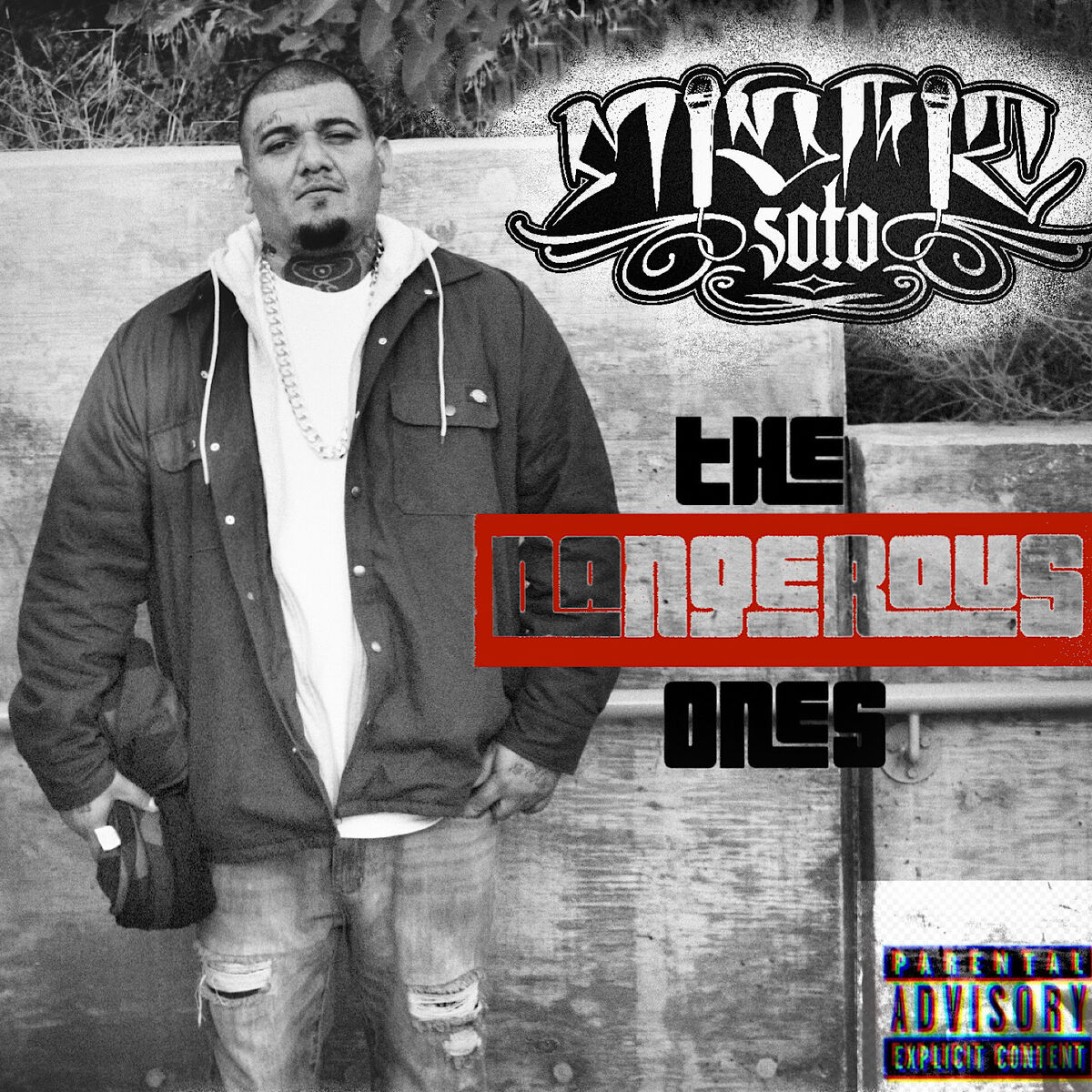 Album cover of Public Enemy
