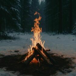 Cover of Winter