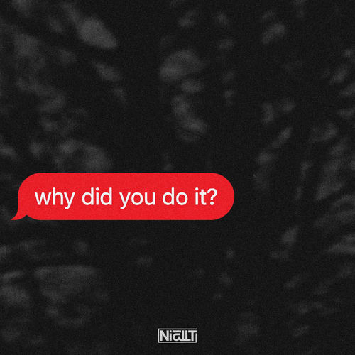 why did you do it?